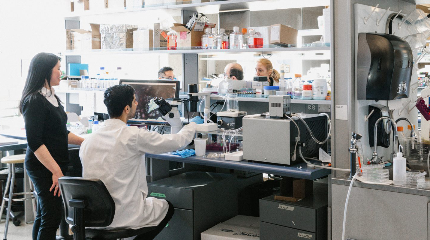 Postdoctoral Fellow