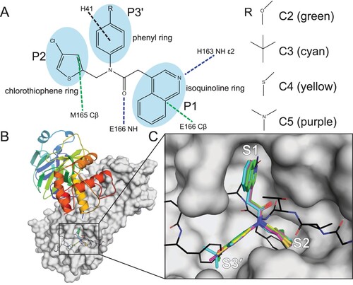 Figure from Jean lab paper 