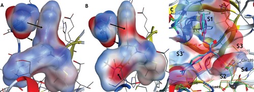 Figure from Jean lab paper