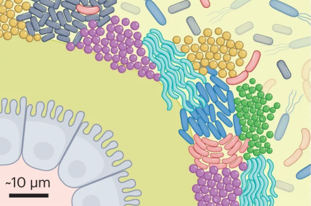 Tropini lab