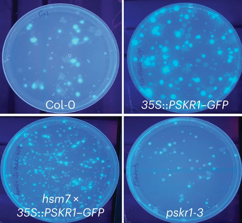 Haney Lab