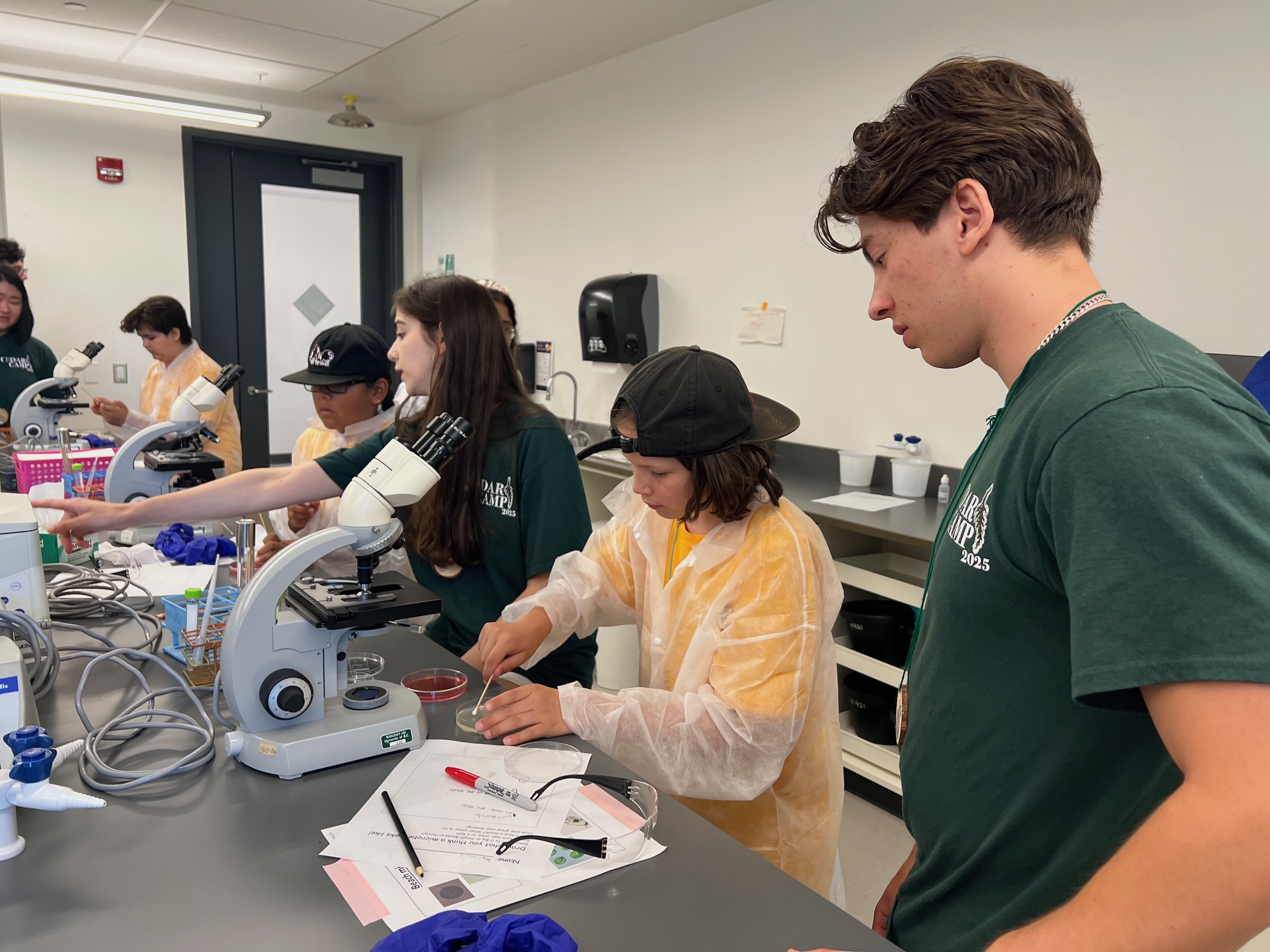 Students swab petri dishes