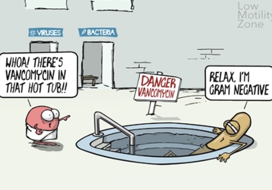 microbiology comic