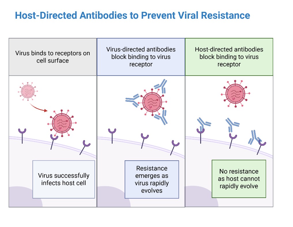 host-directed antibodies