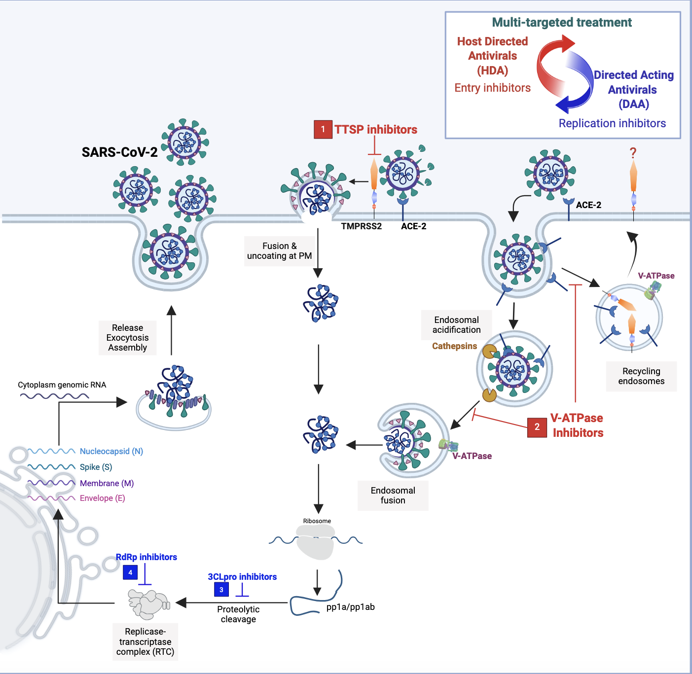 host-directed antivirals and direct-acting antivirals