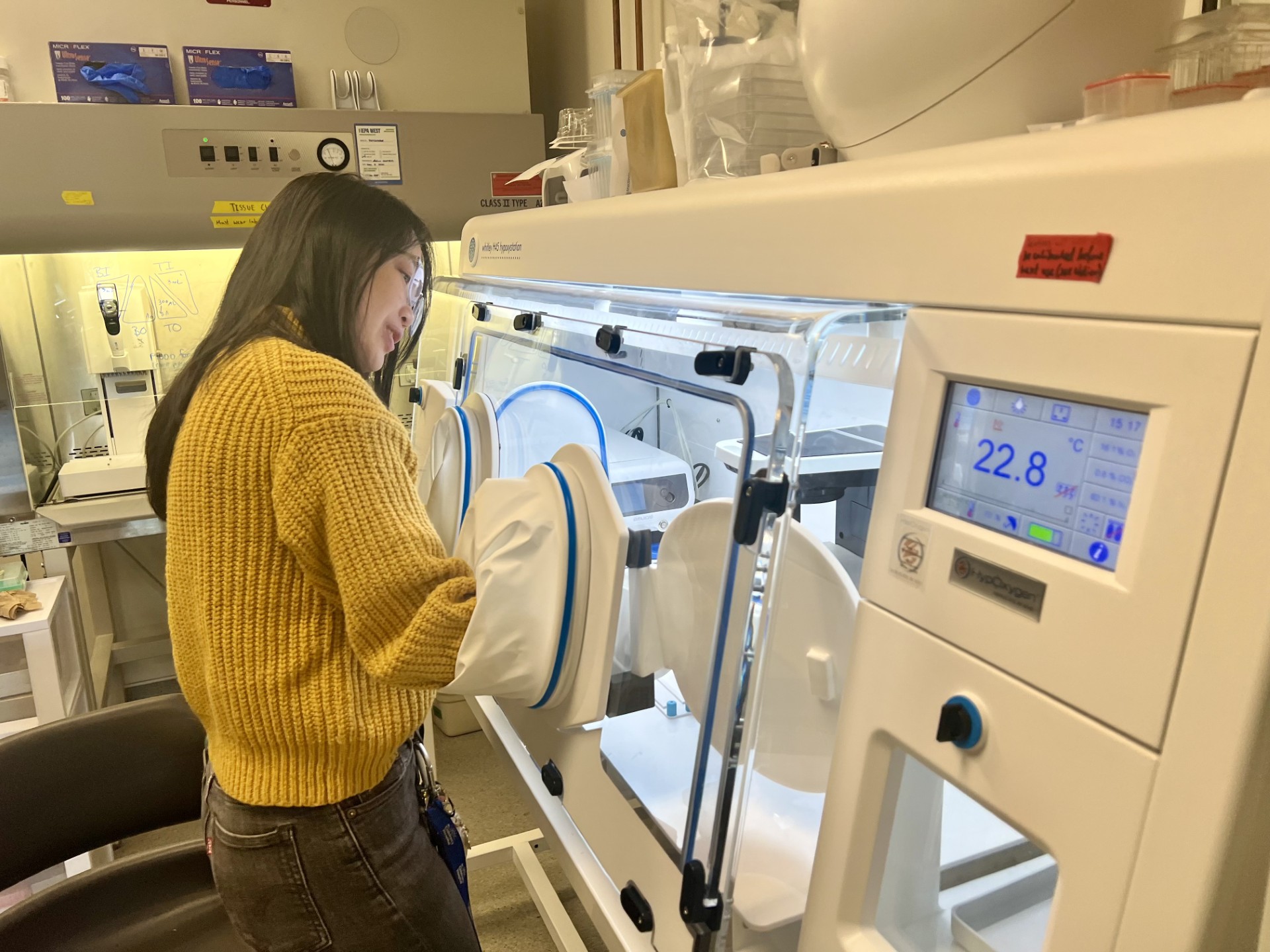 Claire Sie works in a hypoxic chamber
