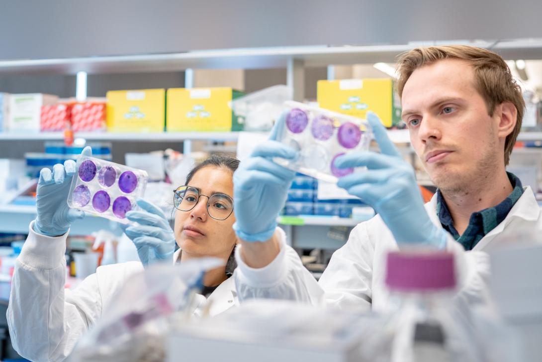 Ananya Saraph and W. Austin Guild in their lab and holding up plates with circular samples the colour of purple to examine them.