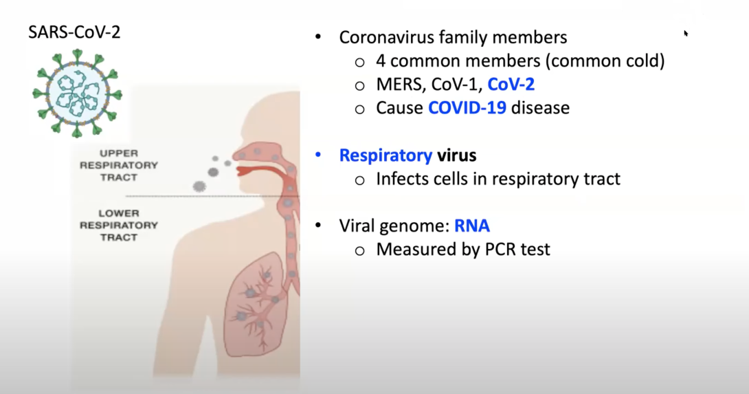 Slide from Covid seminar